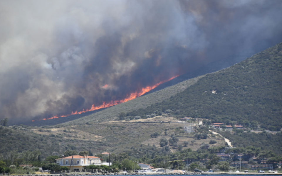 Πυρκαγιές σε Νέα Στύρα, Ελευσίνα, Ασπρόπυργο και Βαρνάβα-3