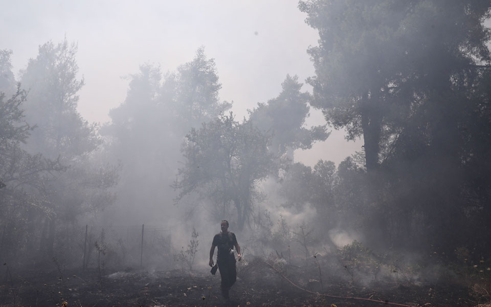 Φωτιά στη Σταμάτα: Συνελήφθη ένας μελισσοκόμος για εμπρησμό-1