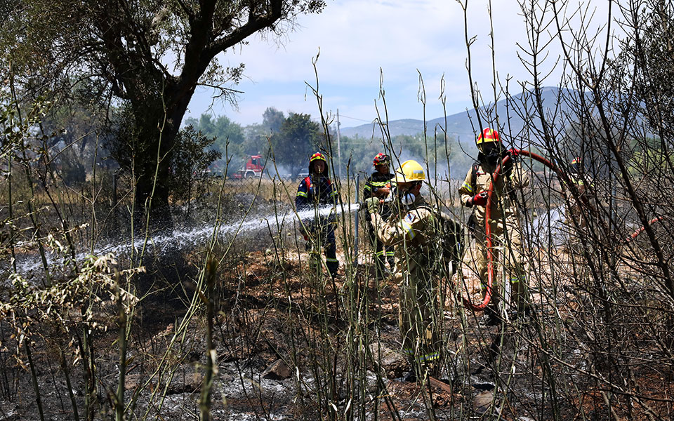φωτιά-στη-χασιά-του-δήμου-φυλής-561425212