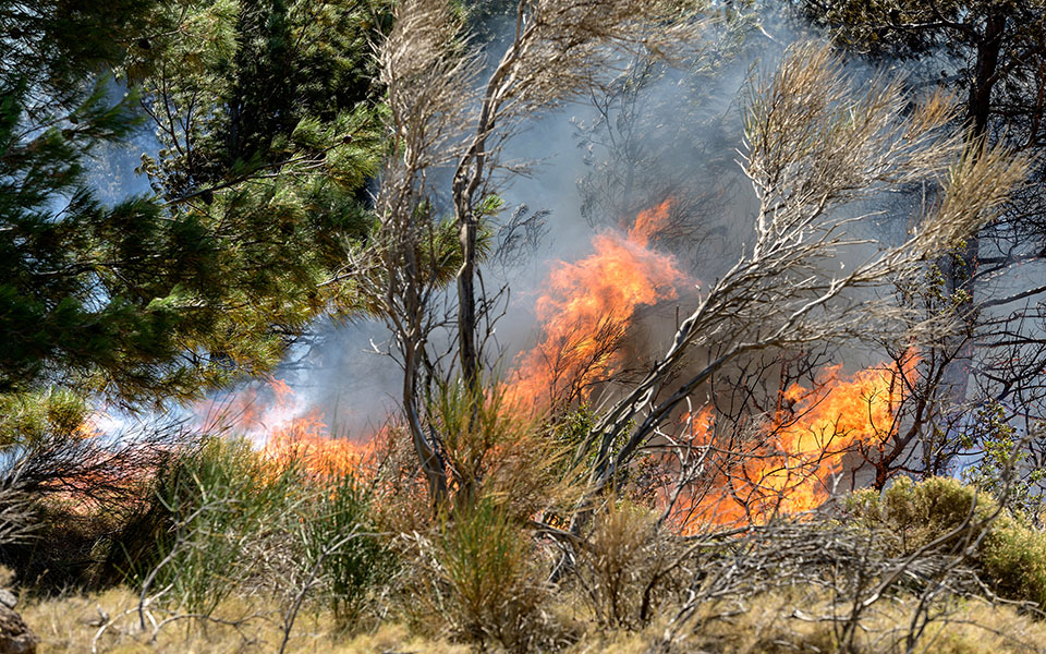 ενισχύονται-οι-δυνάμεις-στην-πυρκαγι-561428776