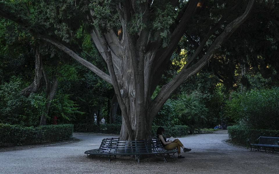 πελώνη-δεν-είναι-πρόθεσή-μας-ένα-νέο-lockdown-561432646