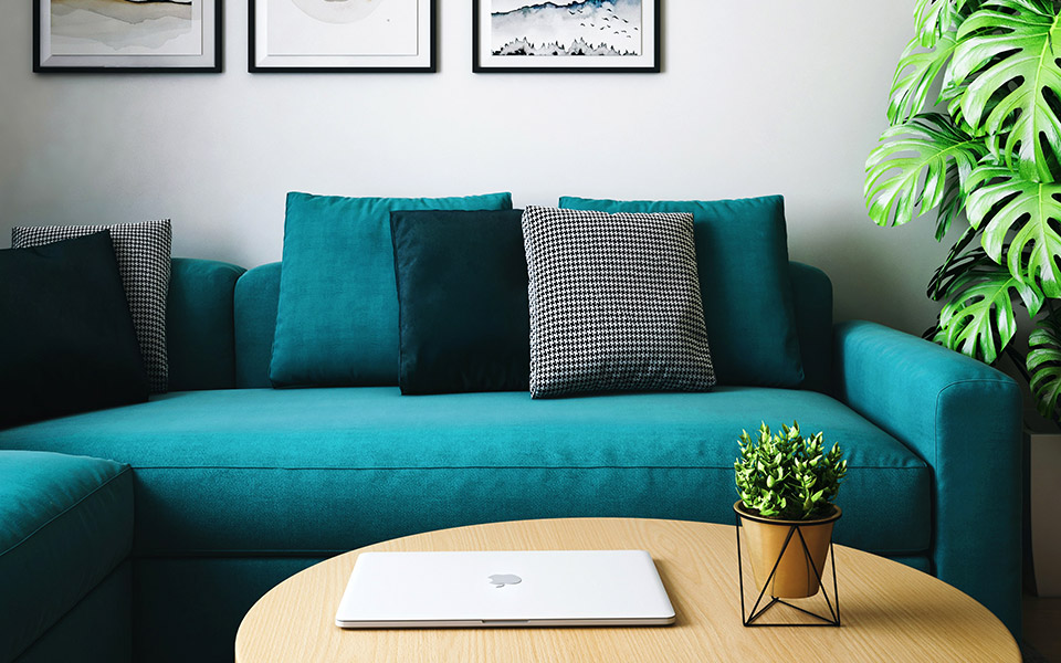 μαγικοί-χρωματικοί-συνδυασμοί-με-πετ-561451657