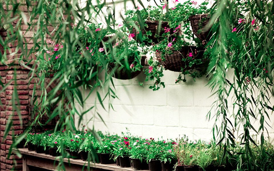 οικονομικές-ιδέες-για-καλοκαιρινή-δι-561431473