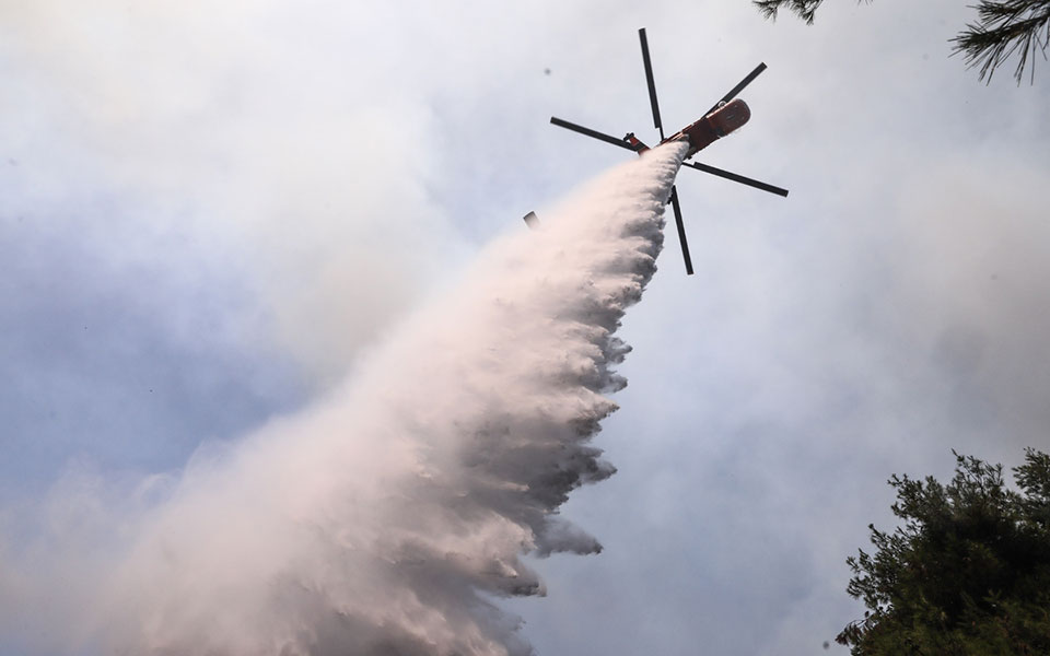 χρυσοχοΐδης-για-φωτιά-στη-σταμάτα-τα-χ-561449197
