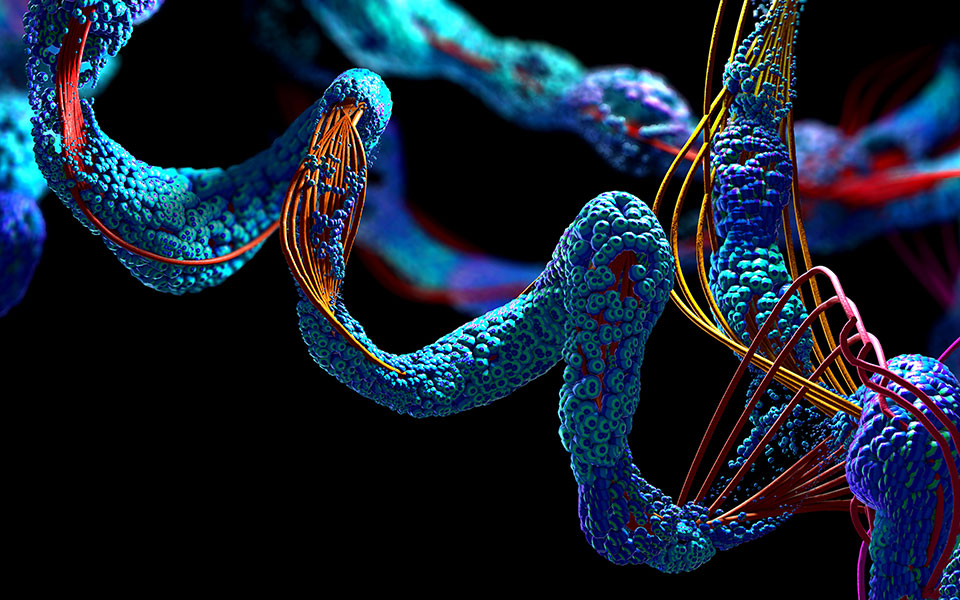 τρισδιάστατος-χάρτης-πρωτεϊνών-φέρν-561442912