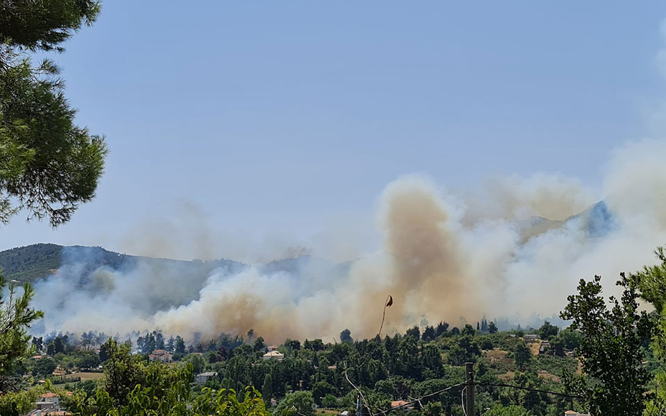 φωτιά-στη-σταμάτα-αττικής-ισχυροί-άνε-561447301