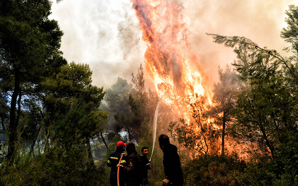 μεγάλη-φωτιά-στο-συκάμινο-ωρωπού-ει-561421021