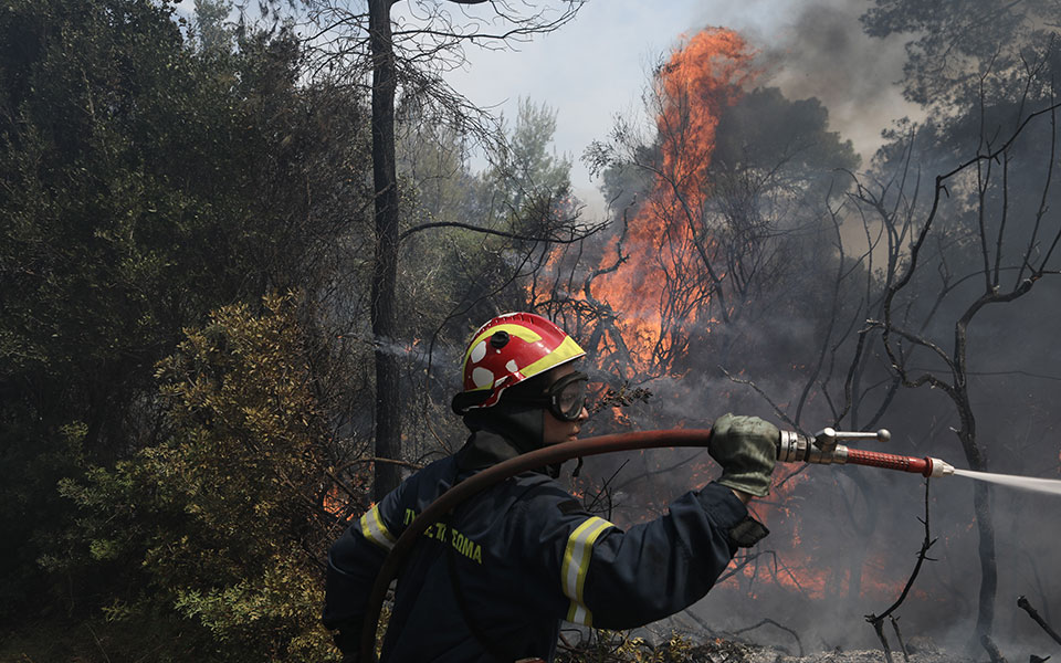οριοθετημένη-η-φωτιά-στην-ανάβυσσο-σ-561428176