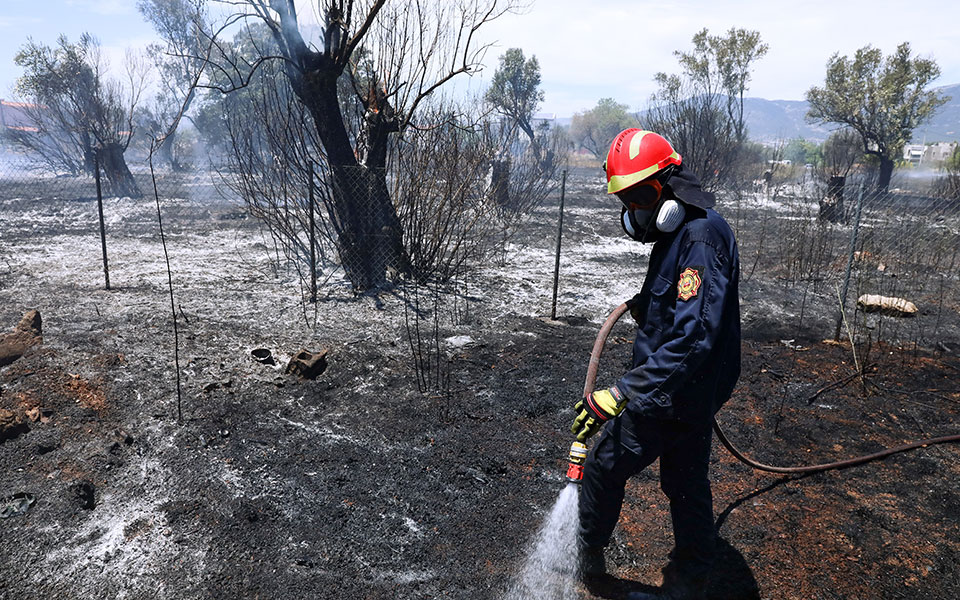 φωτιά-στον-τρίλοφο-θεσσαλονίκης-μεγ-561425518