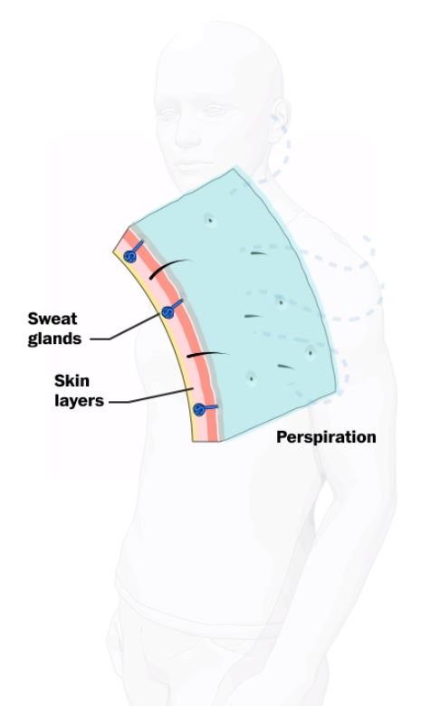 Καύσωνας: Πώς αντιδρά ο οργανισμός μας στην ακραία ζέστη – Εικόνες-2
