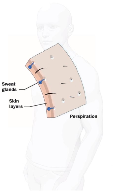 Καύσωνας: Πώς αντιδρά ο οργανισμός μας στην ακραία ζέστη – Εικόνες-3