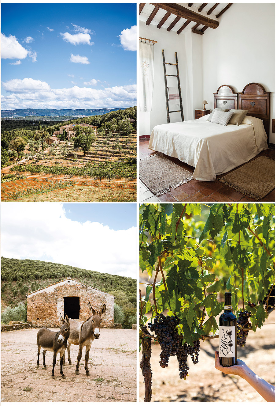 Πολυτελείς διακοπές στο αγρόκτημα-1