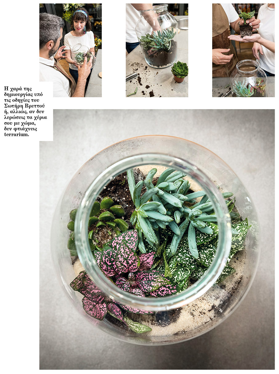 Αγάπη μου, συρρίκνωσα τον κήπο-1