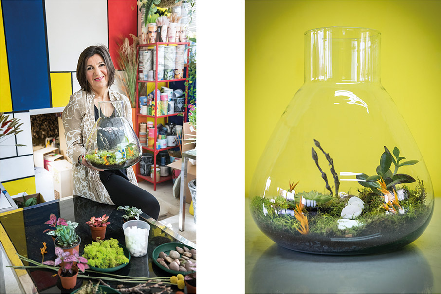 Αγάπη μου, συρρίκνωσα τον κήπο-3