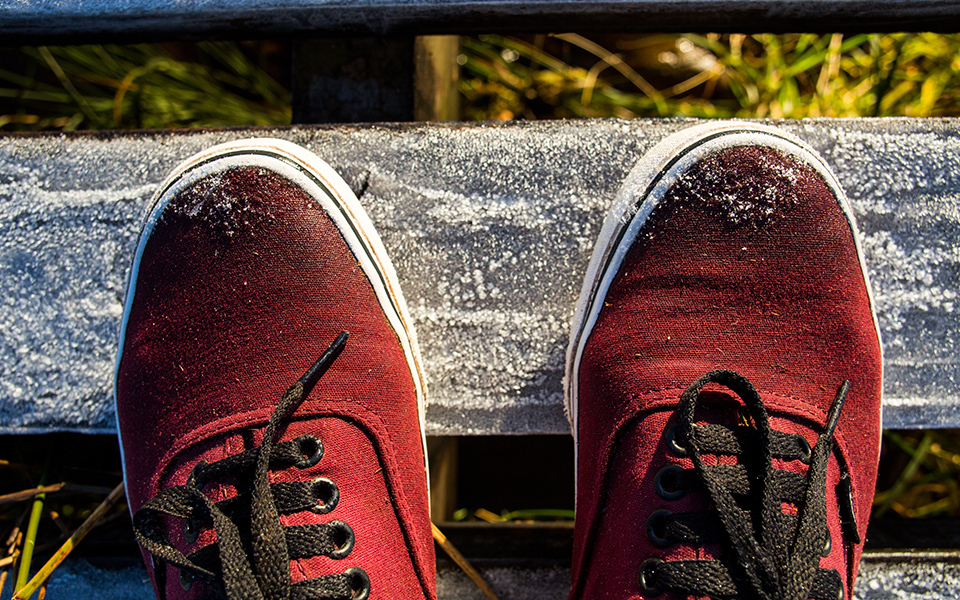 οι-καταναλωτές-έσπευσαν-να-αγοράσουν-561419209