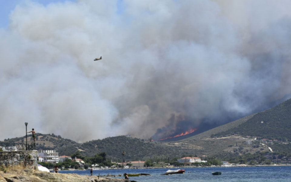 Πυρκαγιές σε Νέα Στύρα, Ελευσίνα, Ασπρόπυργο και Βαρνάβα-2