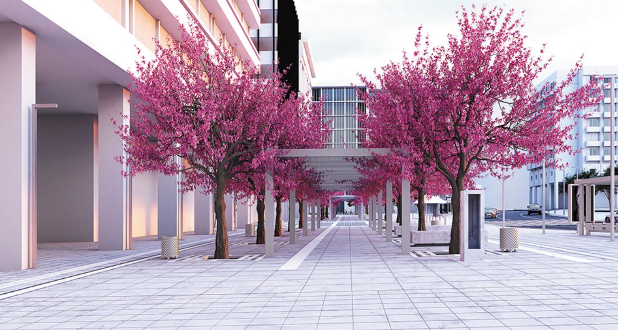 Αρχίζει η ανάπλαση της πλατείας Συντάγματος-1