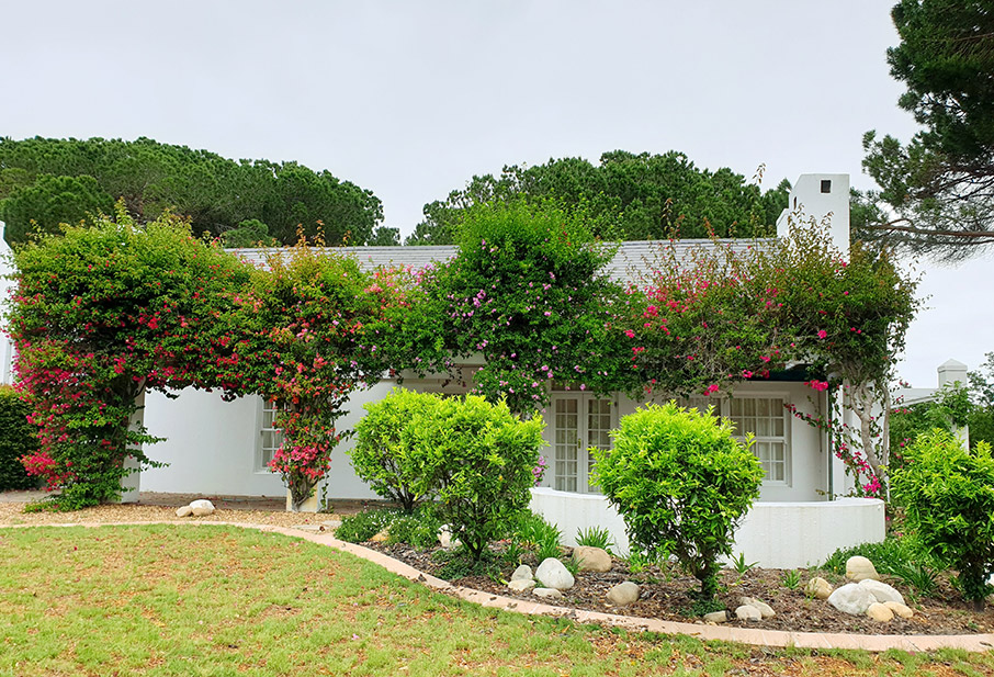 Οικονομικές ιδέες για καλοκαιρινή διακόσμηση σπιτιού και κήπου-2