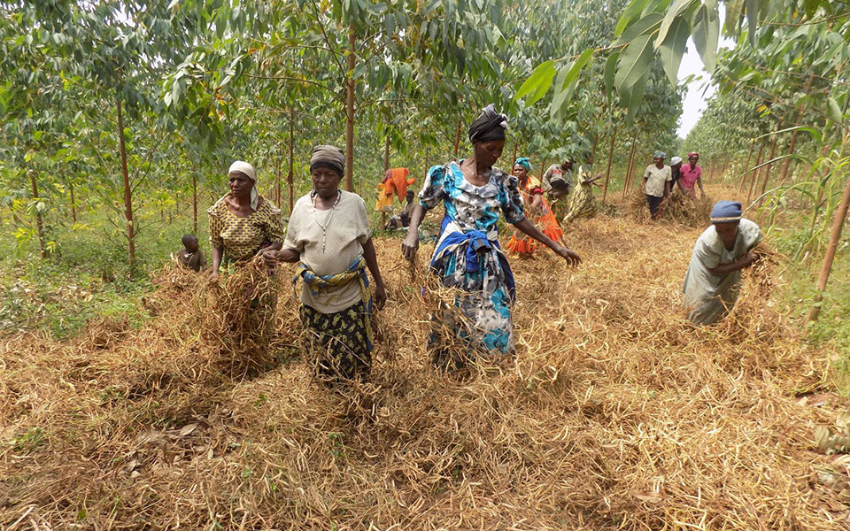 οηε-με-την-covid-19-η-πείνα-στον-κόσμο-θα-διαρκ-561431173
