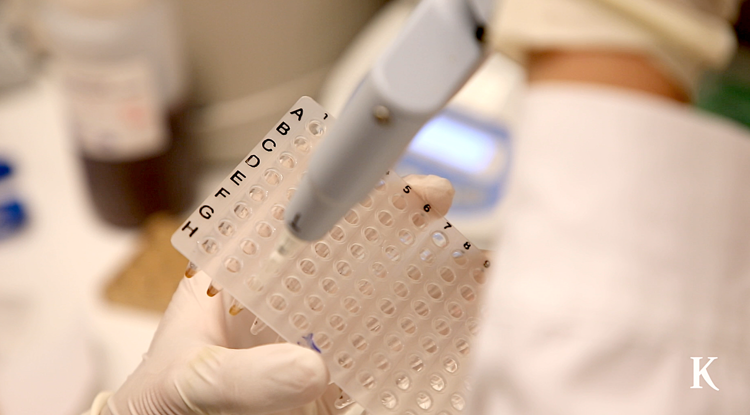 κορωνοϊός-η-μάχη-των-μεταλλάξεων-αν-561445897