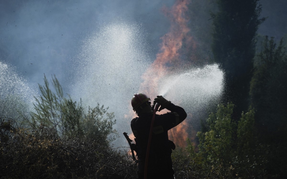φωτιές-μάχη-με-τις-αναζωπυρώσεις-σε-εύ-561464158