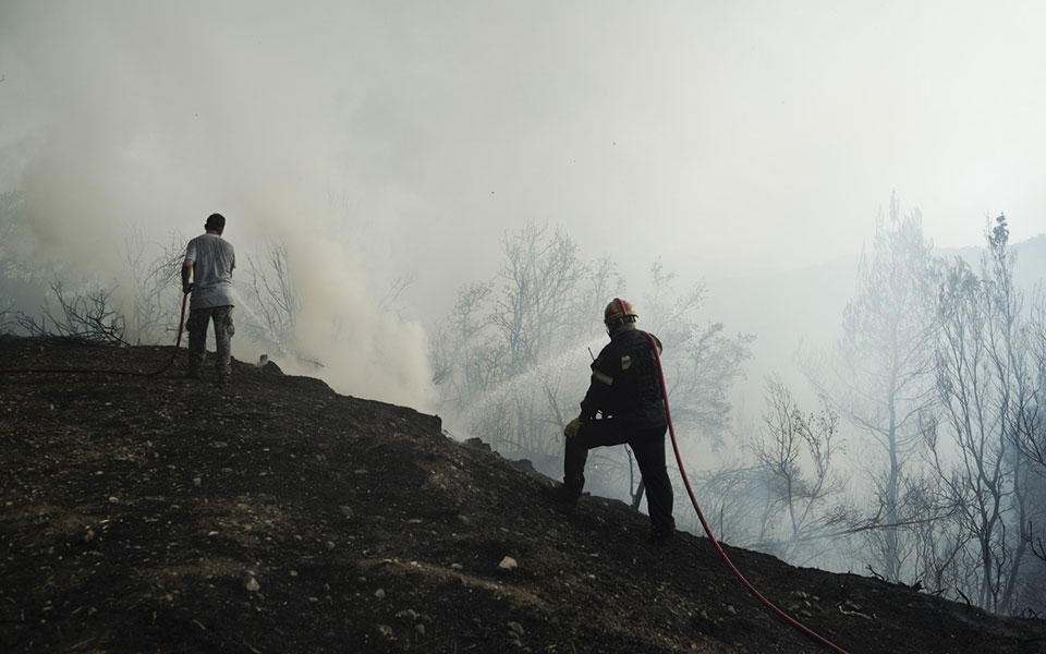 μαθήματα-αλληλεγγύης-στην-εύβοια-εκ-561464200