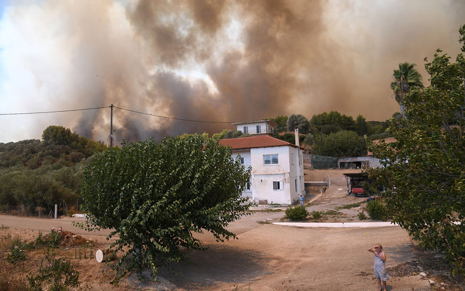 φωτιά-στην-ηλεία-μάχη-με-τις-αναζωπυρώ-561461845