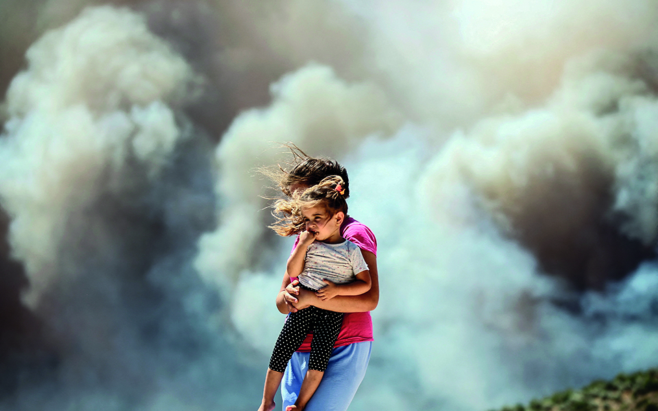 Πώς φτάσαμε στο σημείο μηδέν για τα μεσογειακά δάση-2