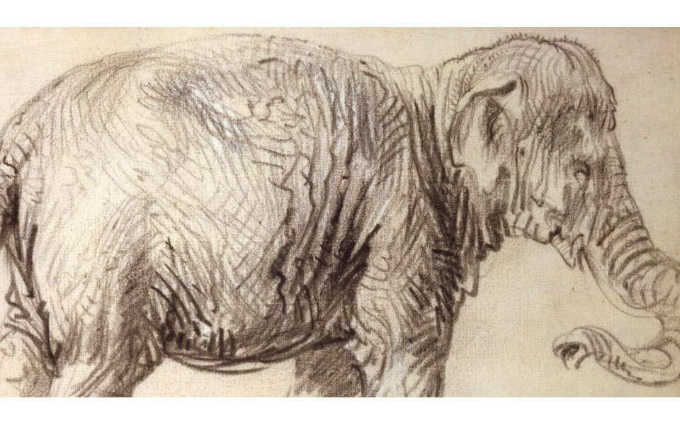 ένας-ελέφαντας-για-τον-ρέμπραντ-561462829