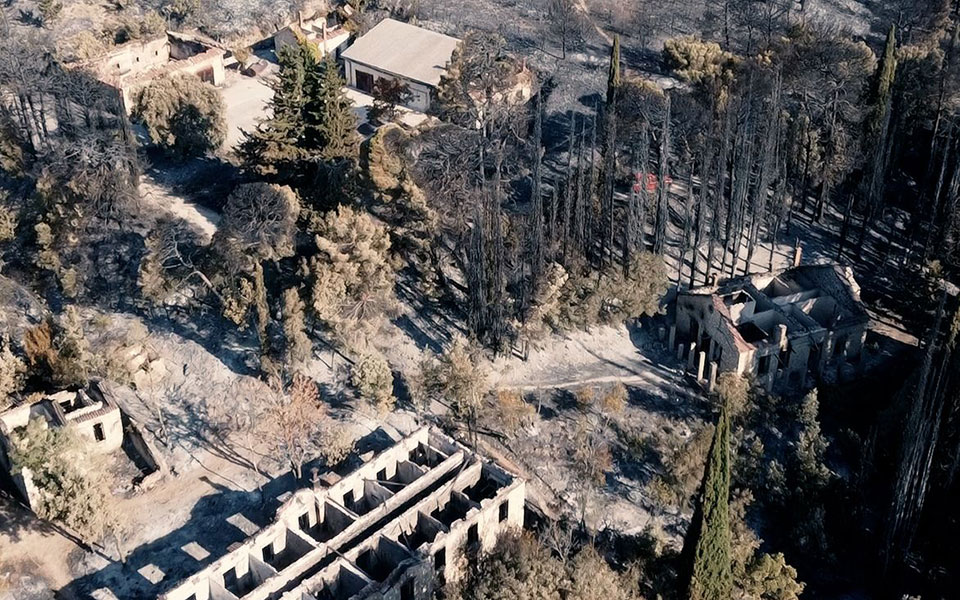 σύλλογος-φίλων-τατοΐου-το-χρονικό-της-561464962