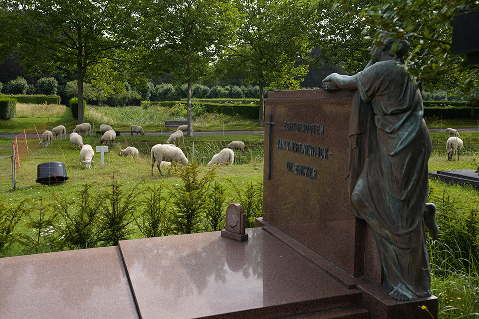 Οι κηπουροί