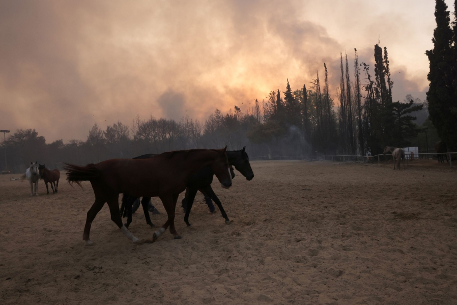 Φωτιά στη Βαρυμπόμπη: Το μέγεθος της καταστροφής σε εικόνες-11