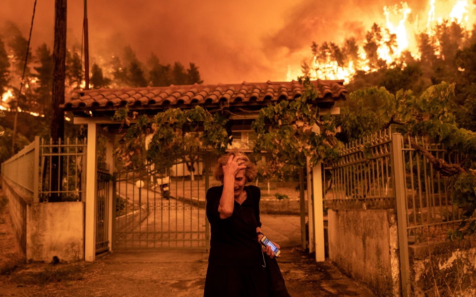 η-απόγνωση-της-κυρίας-παναγιώτας-τρ-561462736