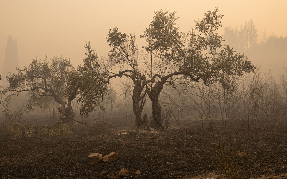 το-βαρύ-περιβαλλοντικό-αποτύπωμα-των-561464107