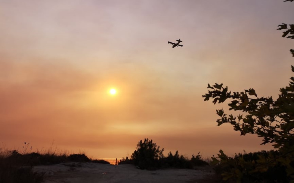 κάυσωνας-καμπανάκι-για-τις-πυρκαγι-561454138