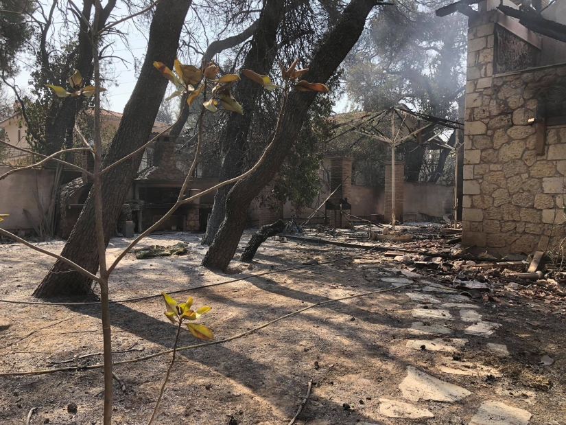 Φωτιά στη Βαρυμπόμπη: Το μέγεθος της καταστροφής σε εικόνες-14