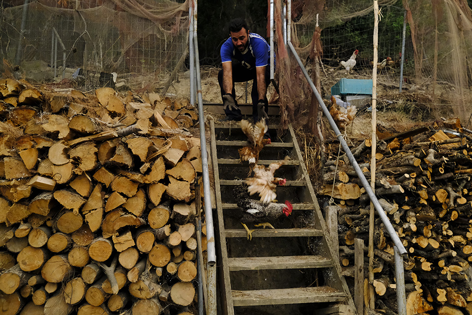 Στην σωτηρία