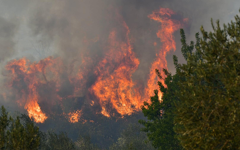 φθιώτιδα-μαίνεται-η-φωτιά-στο-λογγίτσ-561454840