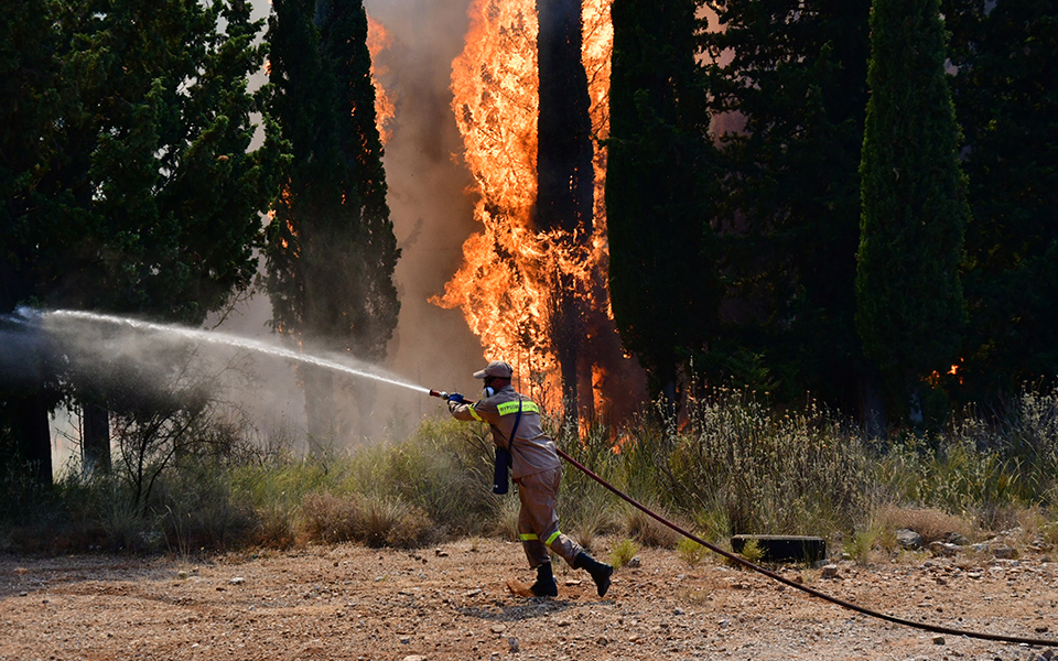 φθιώτιδα-δύο-φωτιές-με-διαφορά-λίγων-λ-561454708