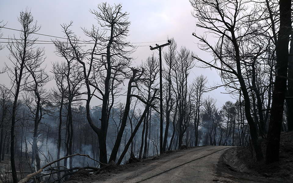 Φωτιά στην Αττική: Ένας πρώτος απολογισμός μέχρι το μεσημέρι-1