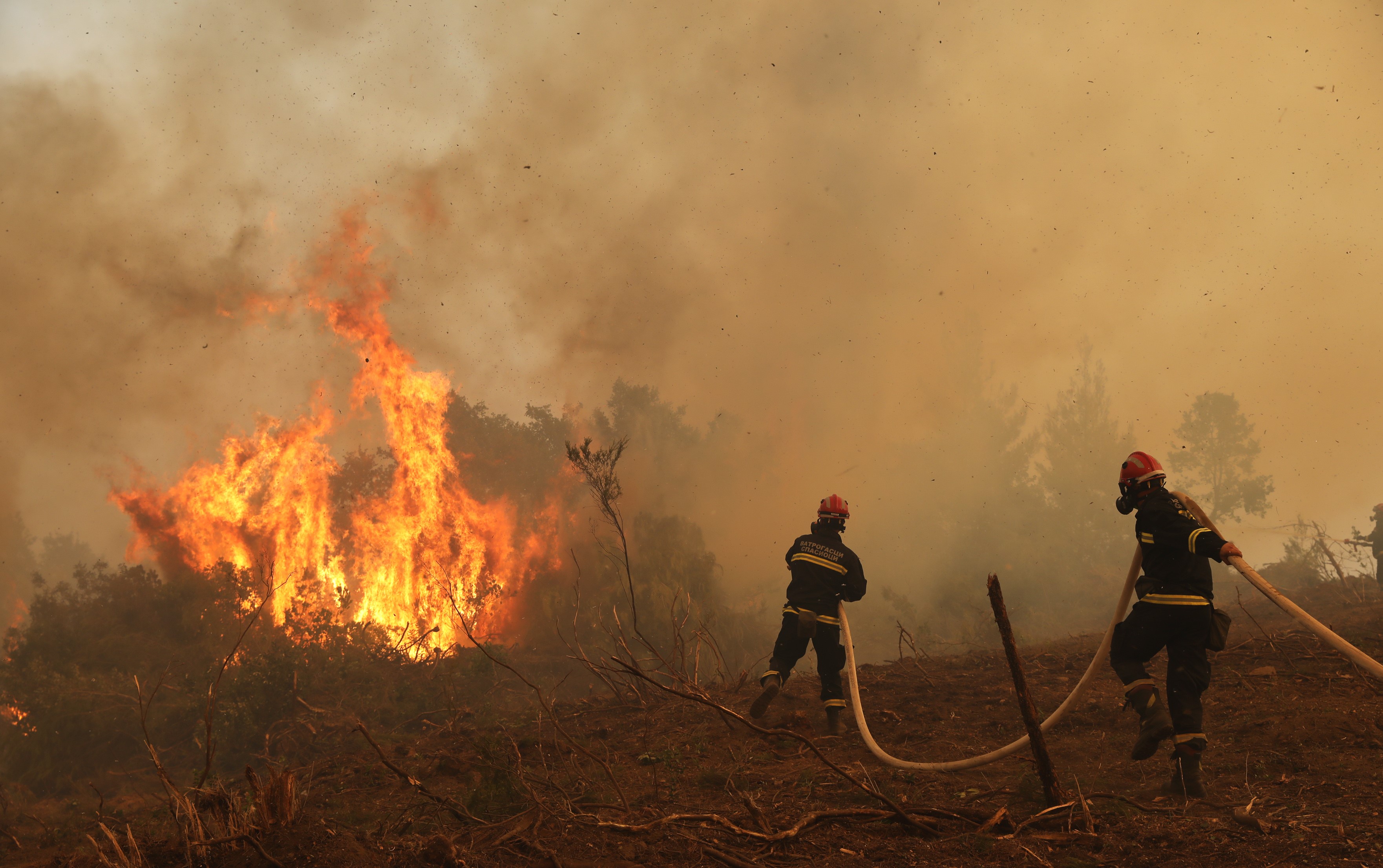 Φωτιά στην Εύβοια: Ολονύχτια μάχη με τις αναζωπυρώσεις – Υπεράνθρωπες προσπάθειες πυροσβεστών και κατοίκων-1