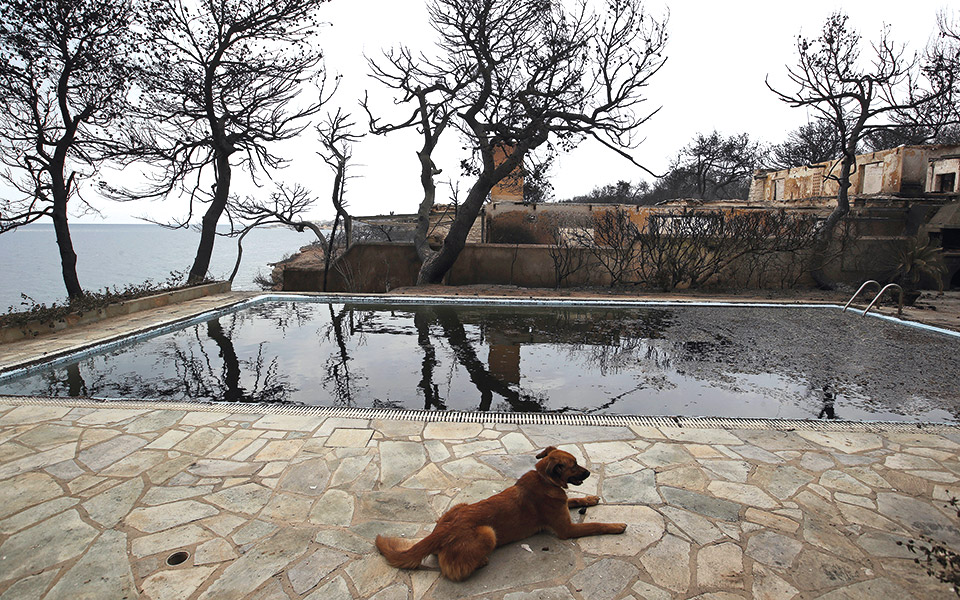 drones-διασώστες-561480586