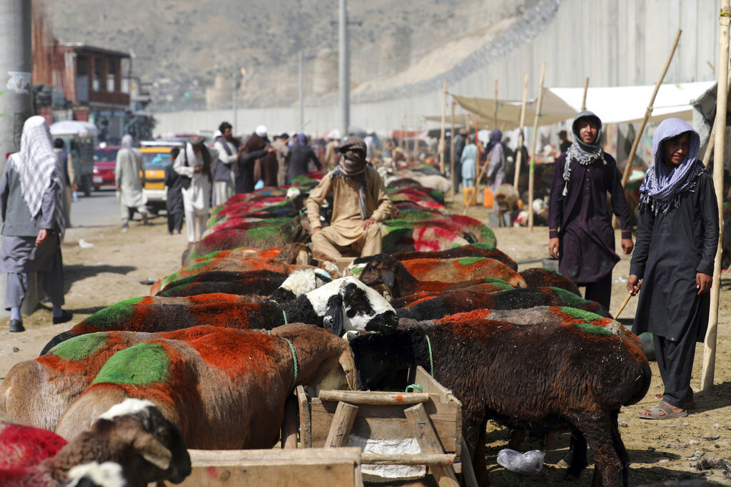 αφγανιστάν-οι-ταλιμπάν-πυροδοτούν-εκ-561481057