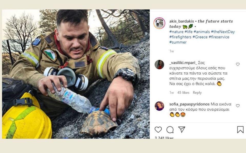 ο-πυροσβέστης-με-τη-χελώνα-στη-faz-η-φωτ-561461272