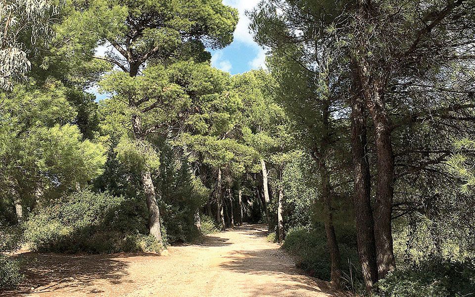 περιβάλλον-αλλαγή-ρότας-τώρα-561460147