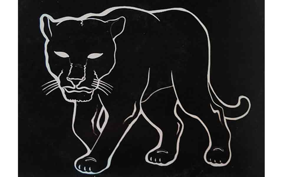 μουσικές-του-καλοκαιριού-3-561453463