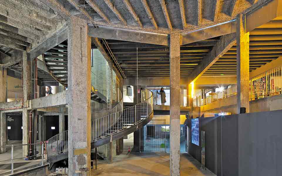 μην-κατεδαφίζεις-μην-κόβεις-δέντρο-561453292