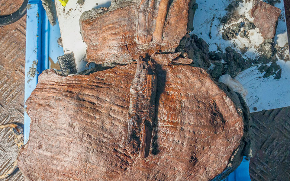 ανακαλύφθηκαν-καλάθια-με-φρούτα-του-4ο-561455128