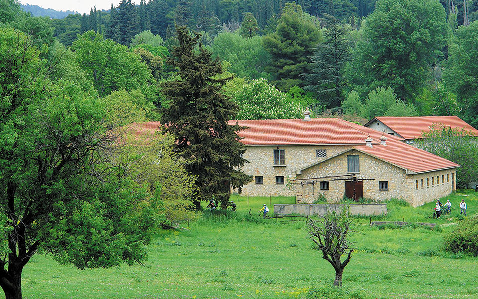 τατόι-το-πυρ-μαίνεται-κυριολεκτικώς-561458053