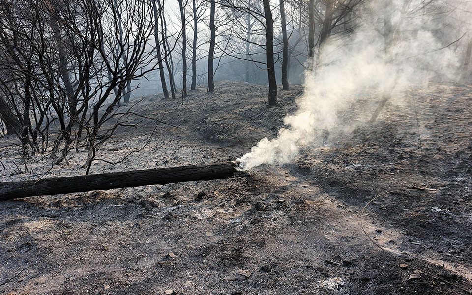 Φωτιά στη Βαρυμπόμπη: «Έλιωσαν όλα» – Μαρτυρίες των κατοίκων της περιοχής στην «Κ»-1